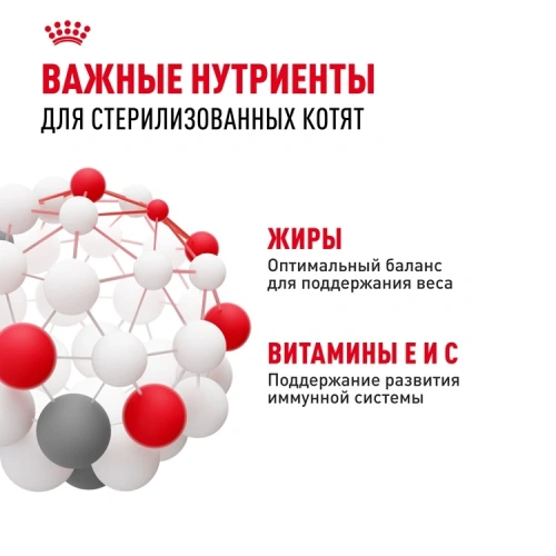 Влажный корм Royal Canin Kitten Sterilised, корм для стерилизованных котят в желе, 28*85 г
