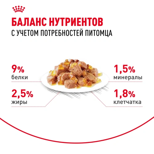 Влажный корм Royal Canin Sterilised для стерилизованных кошек, кусочки в желе (28 паучей по 85 гр)