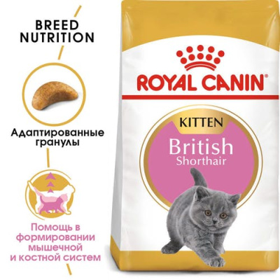 ROYAL CANIN British Shorthair Корм сухой для котят породы Британская короткошерстная, 400 г
