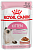Royal Canin Консервированный корм для котят 4-12 месяцев, кусочки в соусе, 85 г
