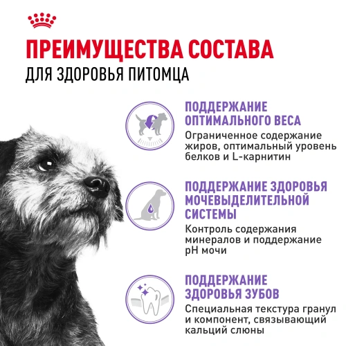 Сухой корм Royal Canin Mini Sterilised стерилизованных собак мелких пород - 3 кг
