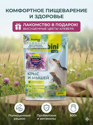 Корм для крыс Bambini Pets, корм + лакомство -  цветы клевера в подарок