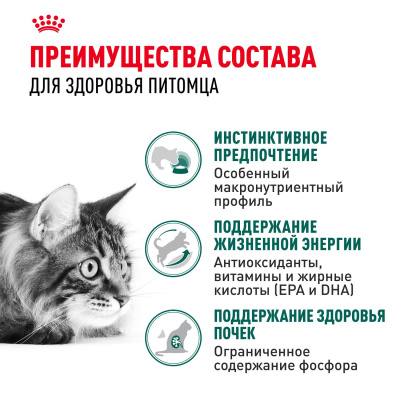 Влажный корм Royal Canin Instinctive 7+ для кошек старше 7 лет, кусочки в соусе  85г