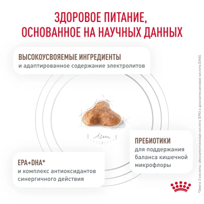 Royal Canin Gastrointestinal Fibre Response Сухой ветеринарный корм для кошек при запорах, 350 г