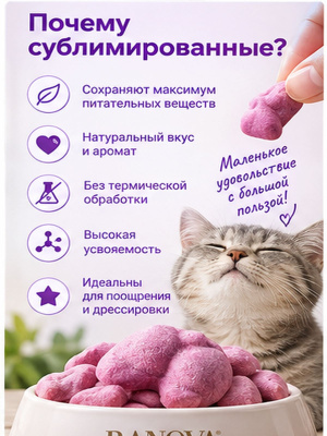 Лакомство для кошек и собак сублимированное «милые булочки» с курицей, 40 г Ranova