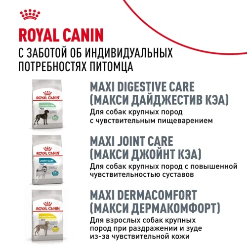 Сухой корм Royal Canin для взрослых собак породы Лабрадор ретривер 3 кг