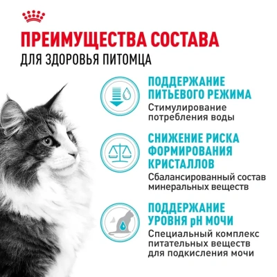 Royal Canin Urinary Care Корм сухой для взрослых кошек для профилактики мочекаменной болезни, 400 г