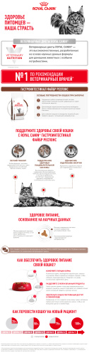 Royal Canin Gastro Intestinal Сухой корм для кошек с заболеваниями печени и ЖКТ острого и хронического характера, 400 г