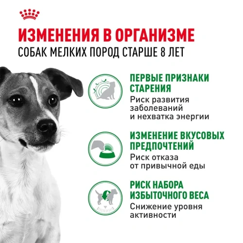 Сухой корм Royal Canin Adult Mini для пожилых собак мини пород 8+, 2 кг