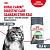 Royal Canin Digestive Care Сухой корм для взрослых кошек с расстройствами пищеварительной системы, 4