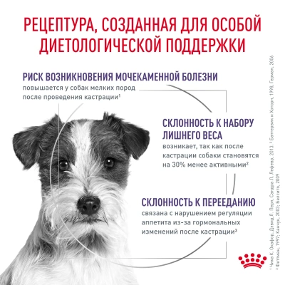 Сухой корм Royal Canin Neutered Adult Small Dog для кастрированных собак мелких пород - 3,5 кг
