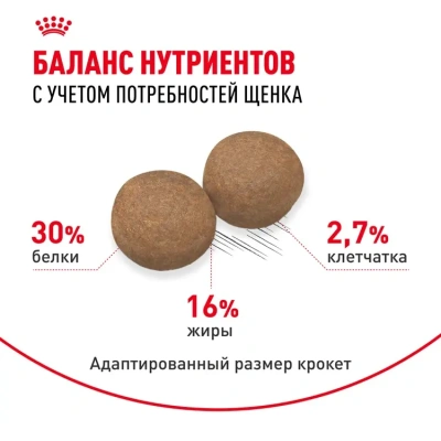 Сухой корм Royal Canin Maxi Puppy для щенков крупных пород  с курицей, 3 кг