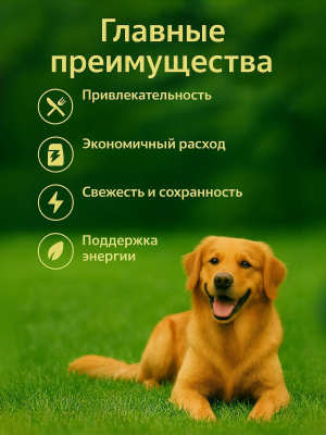 Сухой корм Delish Premium для собак  средних и крупных пород, индейка с рисом, 2кг