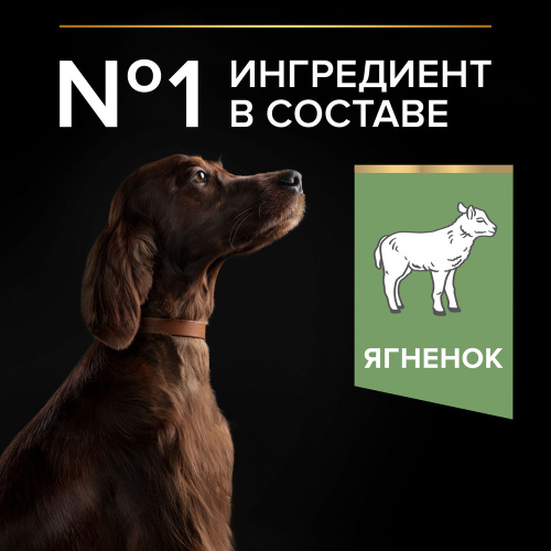PURINA Pro Plan Adult Large Athletic Сухой корм для собак крупных пород с атлетическим телосложением, ягненок и рис, 3 кг