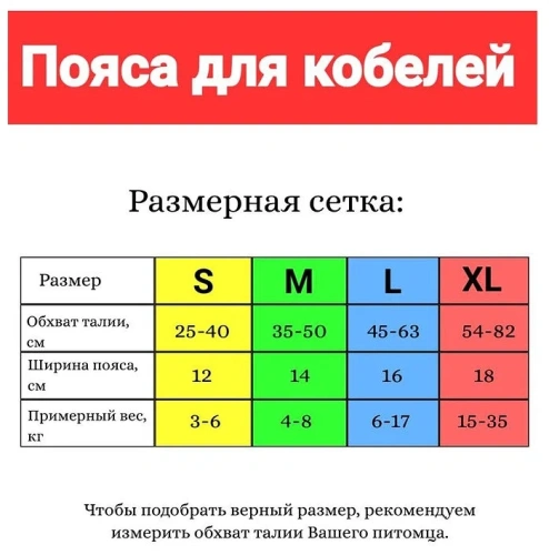 Пояса для кобелей M, Cliny, 10шт