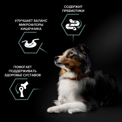 PRO PLAN DOG OPTIDIGEST Сухой корм для взрослых собак средних пород с чувствительным пищеварением, с ягненком 3 кг