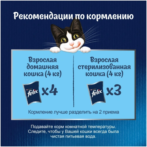 Влажный корм Felix Аппетитные Кусочки Форель 26x75г