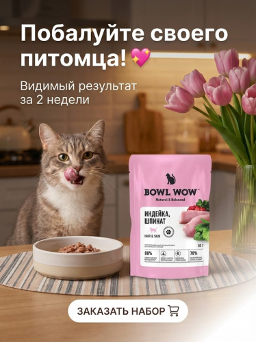Влажный корм BOWL WOW для кошек, здоровая кожа и шерсть, с индейкой и шпинатом, в соусе, 12х85г 