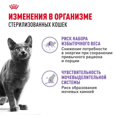 Royal Canin Sterilised Консервированный корм для стерилизованных кошек, кусочки в соусе, 85 г