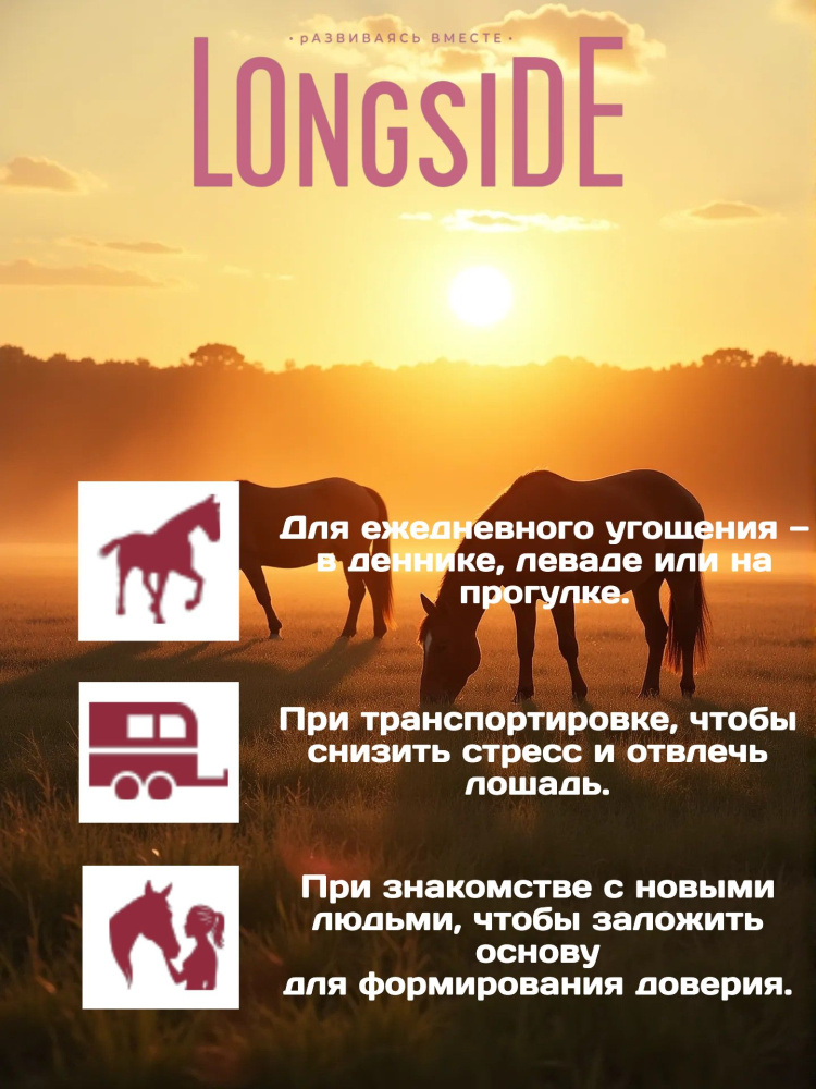 Лакомство для лошадей LONGSIDE, укрепляющее доверие. Садовое яблоко