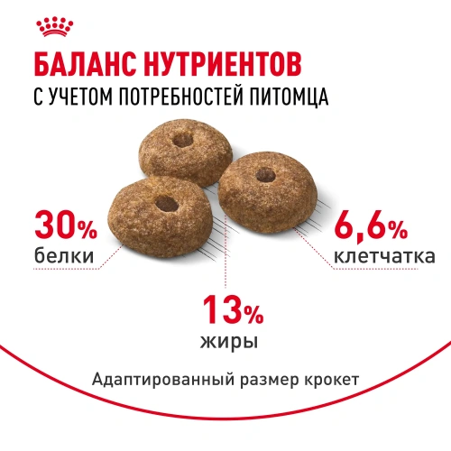 Сухой корм Royal Canin Mini Sterilised стерилизованных собак мелких пород - 3 кг
