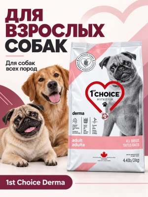 Сухой корм для собак с гиперчувствительной кожей GF DERMA, Лосось 2 кг 1st CHOICE
