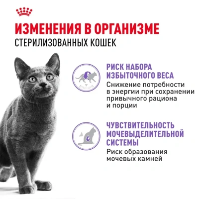 Royal Canin Sterilised Консервированный корм для стерилизованных кошек, в желе, 85 г