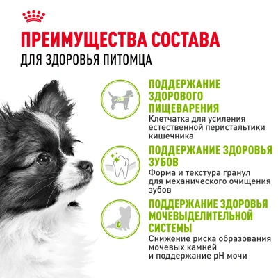 Royal Canin X-Small Adult Корм сухой для собак миниатюрных пород от 10 месяцев до 8 лет, 3 кг
