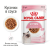 Влажный корм Royal Canin Kitten (Киттен) для котят до 12 месяцев в желе 28*85г