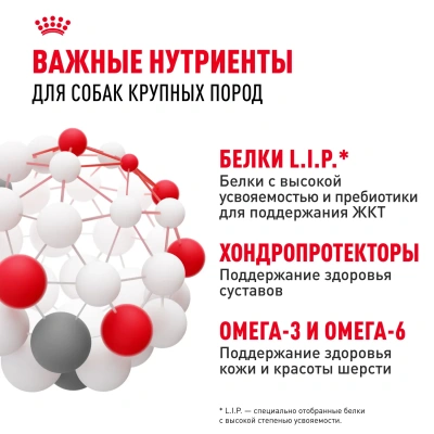Сухой корм Royal Canin Maxi Adult для собак крупных пород старше 15 месяцев  3 кг