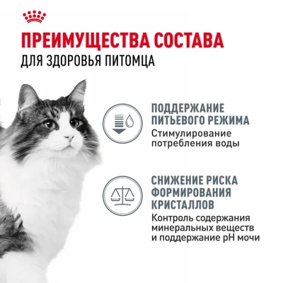 Влажный корм ROYAL CANIN Urinary Care для взрослых кошек при мочекаменной болезни в соусе пауч 85 г