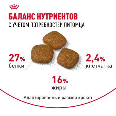 Сухой корм для собак мелких пород Royal Сanin Mini Urinary Care при мочекаменной болезни, 1 кг