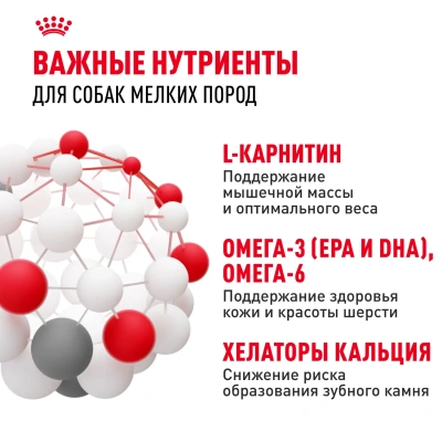 Royal Canin Mini Adult Сухой корм для собак мелких пород, 2 кг
