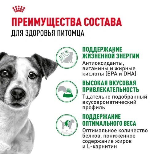 Сухой корм Royal Canin Adult Mini для пожилых собак мини пород 8+, 2 кг