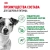 Сухой корм Royal Canin Adult Mini для пожилых собак мини пород 8+, 2 кг