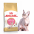 Royal Canin Sphynx Kitten Сухой корм для котят породы Сфинкс, 400 г