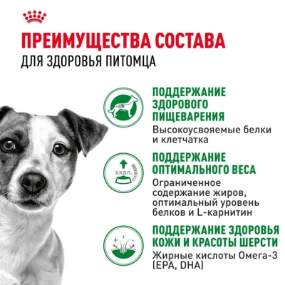 Влажный корм Royal Canin MINI ADULT для взрослых собак мелких пород 85 г