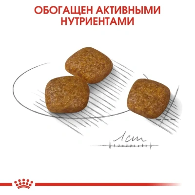 Сухой корм для собак мелких пород Royal Сanin Mini Urinary Care при мочекаменной болезни, 1 кг