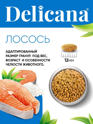 Сухой корм DELICANA  для стерилизованных кошек и кастрированных котов с лососем 0,4 кг 