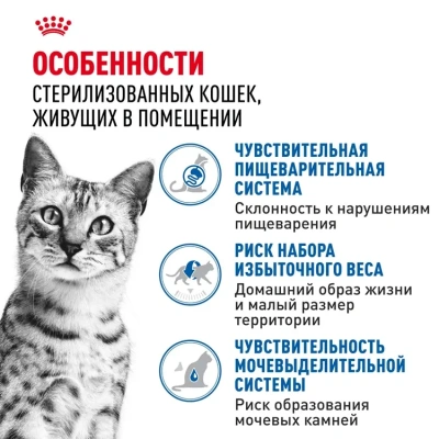 Royal Canin Indoor Sterilised Консервированный корм для домашних кошек, желе, 85 г