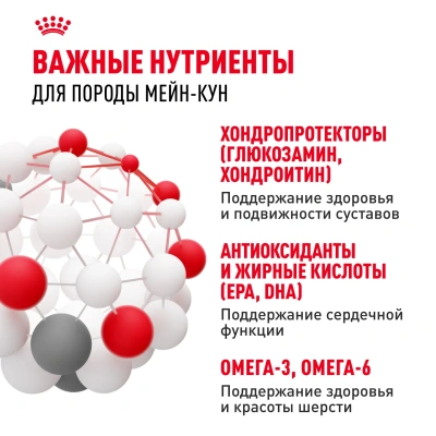 Royal Canin Maine Coon 31 Сухой корм для кошек породы Мейн Кун, 2 кг