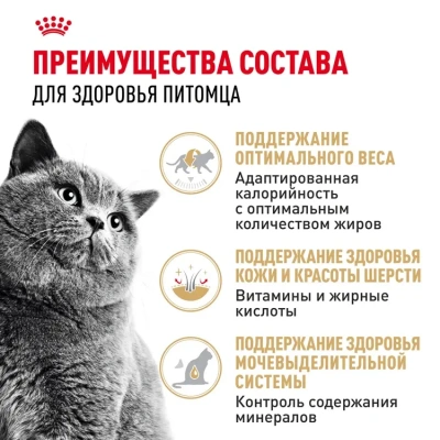Royal Canin British Shorthair Консервированный корм для взрослых кошек породы Британская короткошерстная, 85 г