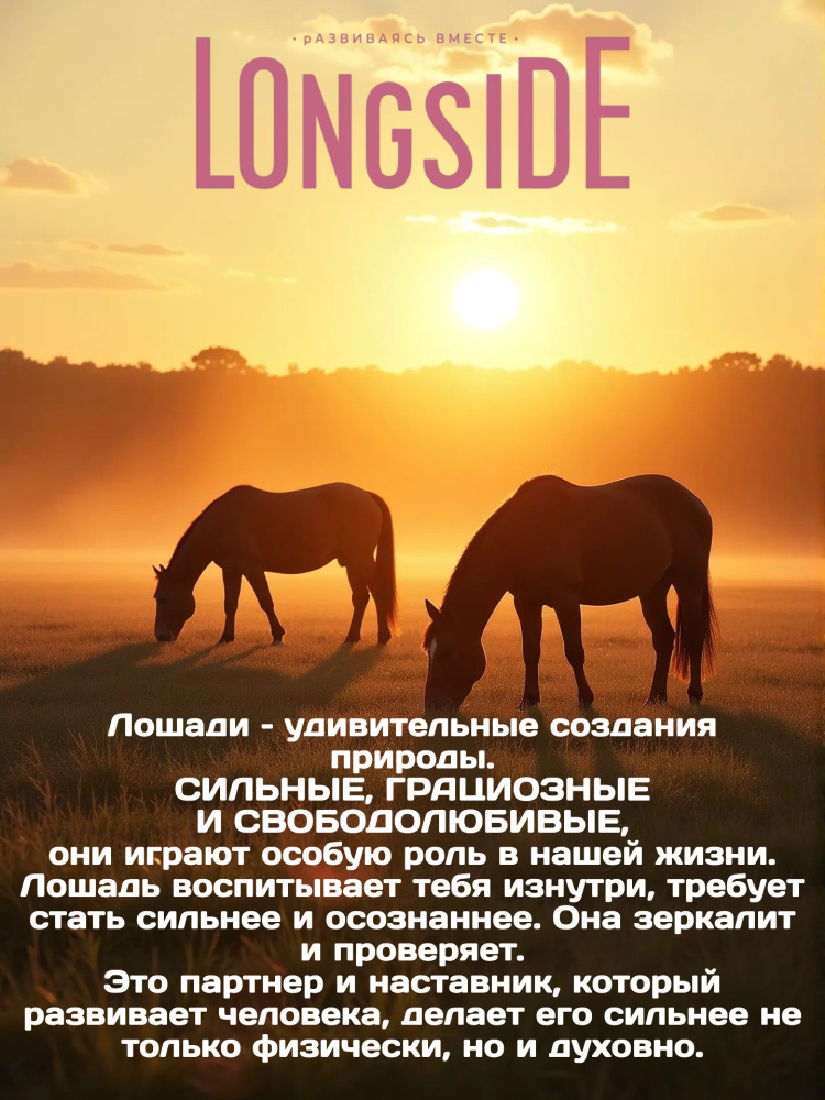 Лакомство для лошадей LONGSIDE, укрепляющее доверие. Садовое яблоко
