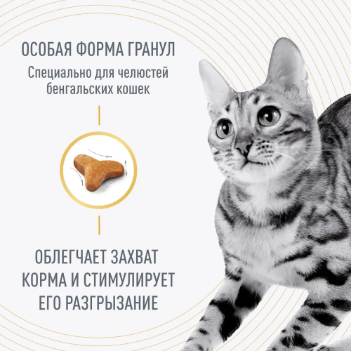 Сухой корм Royal Canin Bengal Adult для взрослых кошек бенгальской породы (Бенгал эдалт) 2 кг
