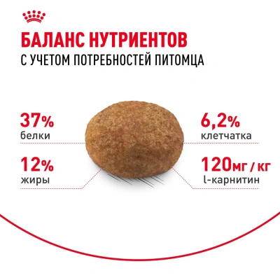 Сухой корм Royal Canin Sterilised 37 для стерилизованных кошек 200 г