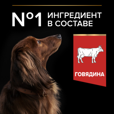 Сухой корм Pro Plan DuoDelice для взрослых собак мелких пород с говядиной 0,7 кг