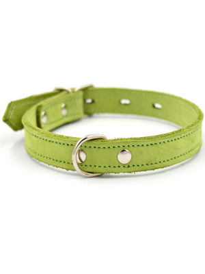 Ошейник 1122С COLOR LINE 2сл 14 мм нубук длина 27-36 см салатовый