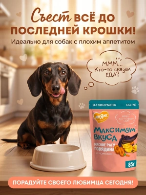 Влажный корм для собак мясное рагу с говядиной и морковью, 85 г. Мнямс Максимум Вкуса