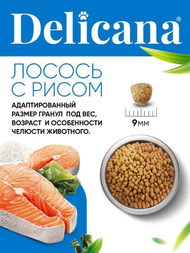 Сухой корм Delicana для собак мелких пород с лососем и рисом 1,5 кг