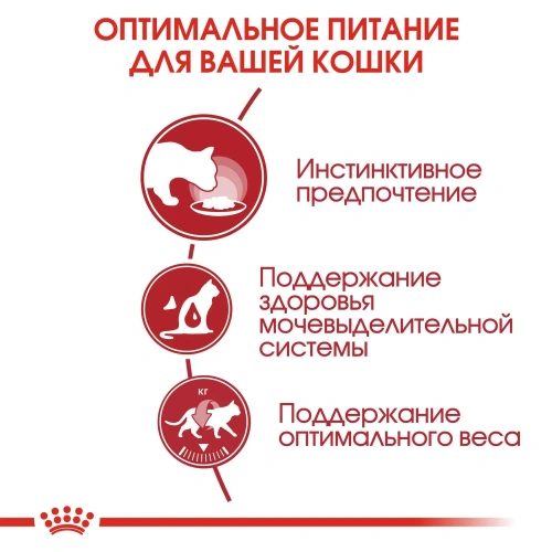 Влажный корм Royal Canin Instinctive для кошек, кусочки в желе (28 паучей по 85 гр)